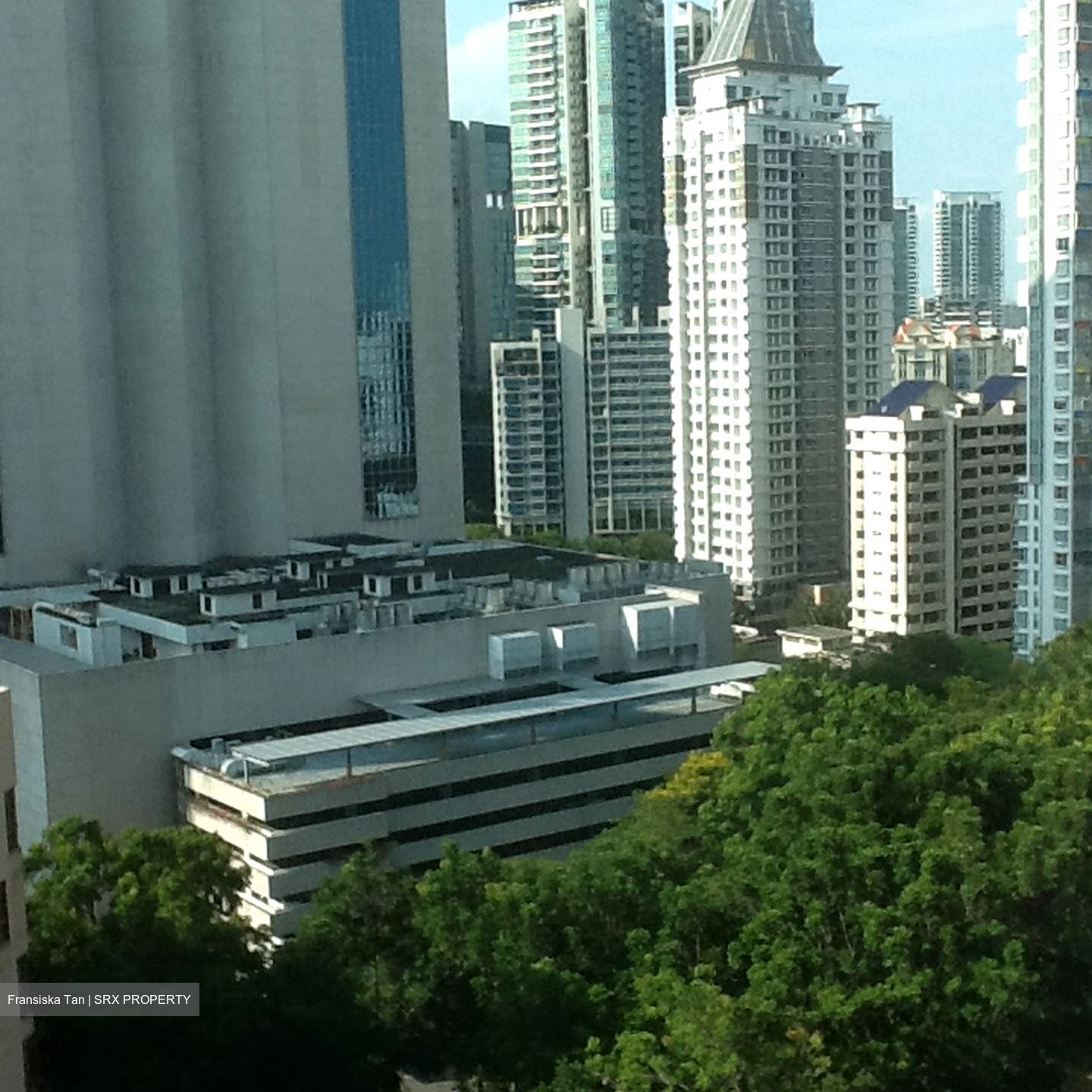 Park Infinia At Wee Nam (D11), Condominium #444498311